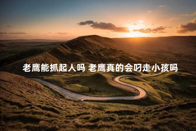 老鹰能抓起人吗 老鹰真的会叼走小孩吗